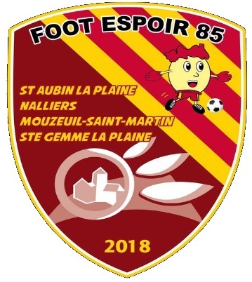 You are currently viewing Foot Espoir 85 recherche entraîneure